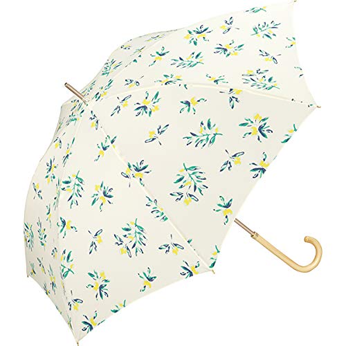 おしゃれな傘のおすすめ商品20選【日傘や折りたたみ傘、メンズ用 